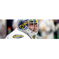 Georgia Swarm goaltender Brett Dobson