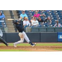 Luis Puello of the Tampa Tarpons