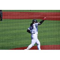 Pavin Parks of the Lake Erie Crushers rounds the bases