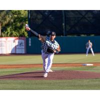 Charleston RiverDogs in their plaid green-and-brown boiled peanut jerseys