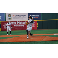 Long Island Ducks pitcher Michael Dominguez