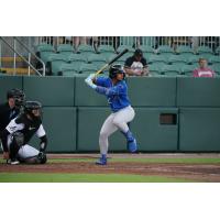 Biloxi Shuckers shortstop Eric Brown Jr.