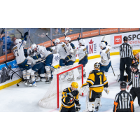 Springfield Thunderbirds mob Akil Thomas after his overtime winner