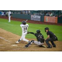Tri-City Dust Devils first baseman Ryan Nicholson