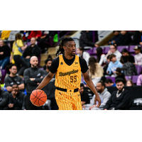 Brampton Honey Badgers guard Sean East II