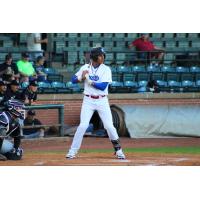 Evansville Otters await a pitch
