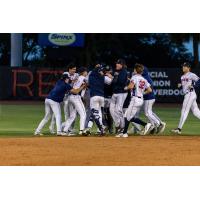 Charleston RiverDogs mob third baseman Nicandro Aybar