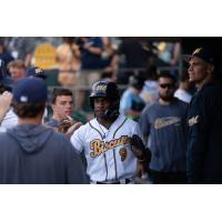 Montgomery Biscuits second baseman Ryan Spikes