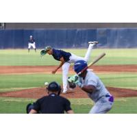Tampa Tarpons pitcher Henry Lalane delivers