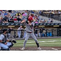 Winnipeg Goldeyes at bat