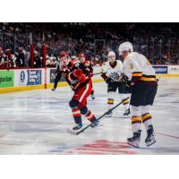 Grand Rapids Griffins' Anton Johansson and Chicago Wolves' Juuso Välimäki on game night