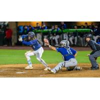 Tri-City Dust Devils outfielder Gage Harrelson attempts a bunt