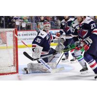 South Carolina Stingrays goaltender Seth Eisele