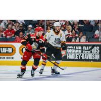 Grand Rapids Griffins left wing  Jakub Rychlovský (left) vs. the Chicago Wolves