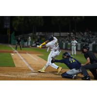 Charleston RiverDogs outfielder Brailer Guerrero