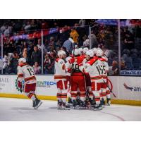 Grand Rapids Griffins gather to celebrate a goal against the Chicago Wolves