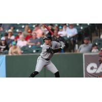 Jacob Robson of the Long Island Ducks