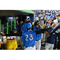 Tampa Tarpons celebrate Ediel Rivera's home run