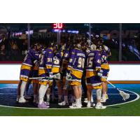 San Diego Seals huddle