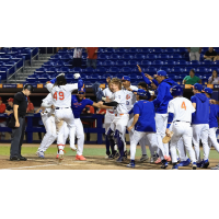 St. Lucie Mets celebrate win