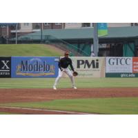 Greensboro Grasshoppers on game night