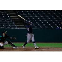 Somerset Patriots' Tyler Hardman at bat