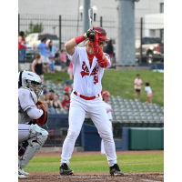 Peoria Chiefs' Cameron Nickens at bat