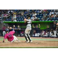 Pensacola Blue Wahoos catcher Sam Praytor slides home safely