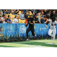 Minnesota Monsters fullback Shannon Brooks