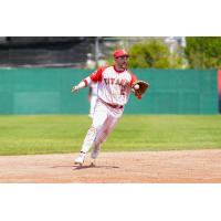 Ottawa Titans infielder Aaron Casillas