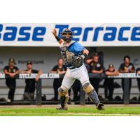 St. Cloud Rox catcher Carter Jorissen