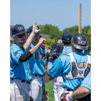 Fond du Lac Dock Spiders exchange high fives