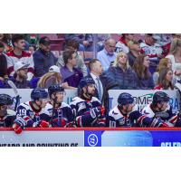 South Carolina Stingrays Head Coach David Warsofsky