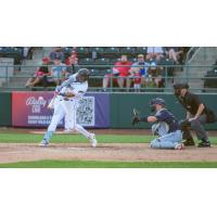 Tri-City Dust Devils outfielder Anthony Scull
