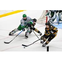 Wheeling Nailers forward Brayden Edwards (right) grabs the puck against the Florida Everblades