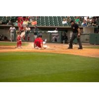Lincoln Saltdogs infielder Cary Arbolida slides home