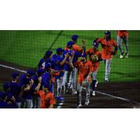 St. Lucie Mets exchange high fives after a win