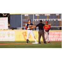 Down East Bird Dawgs on base