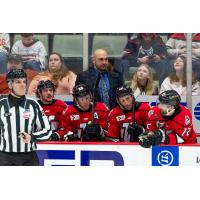 Adirondack Thunder Head Coach Sylvain Cloutier