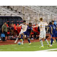 Corpus Christi Sharks defender Shannon Gomez (22) fights for the ball