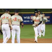 Henry Ramos of the Columbia Fireflies is greeted in the infield