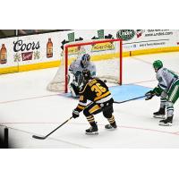 Wheeling Nailers' Max Graham and Florida Everblades' Cam Johnson and Zach Berzolla on the ice
