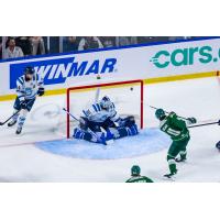 Chicoutimi Saguenéens' Alexis Bernier and Lucas Beckman and Everett Silvertips' Carter Bear in action