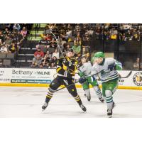 Florida Everblades battle the Wheeling Nailers