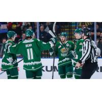 Everett Silvertips celebrate a goal against the Chicoutimi Saguenéens