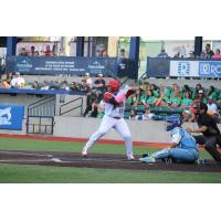 Green Bay Rockers outfielder Eli Selga at bat