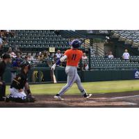 St. Lucie Mets outfielder Randy Guzman