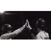 Down East Bird Dawgs exchange high fives