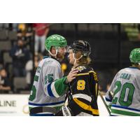 Florida Everblades' Carson Gicewicz and Wheeling Nailers' Aidan Sutter on game night