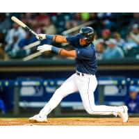 Columbia Fireflies' Yandel Ricardo in action
